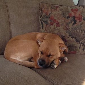 Meet your Posher, Joann